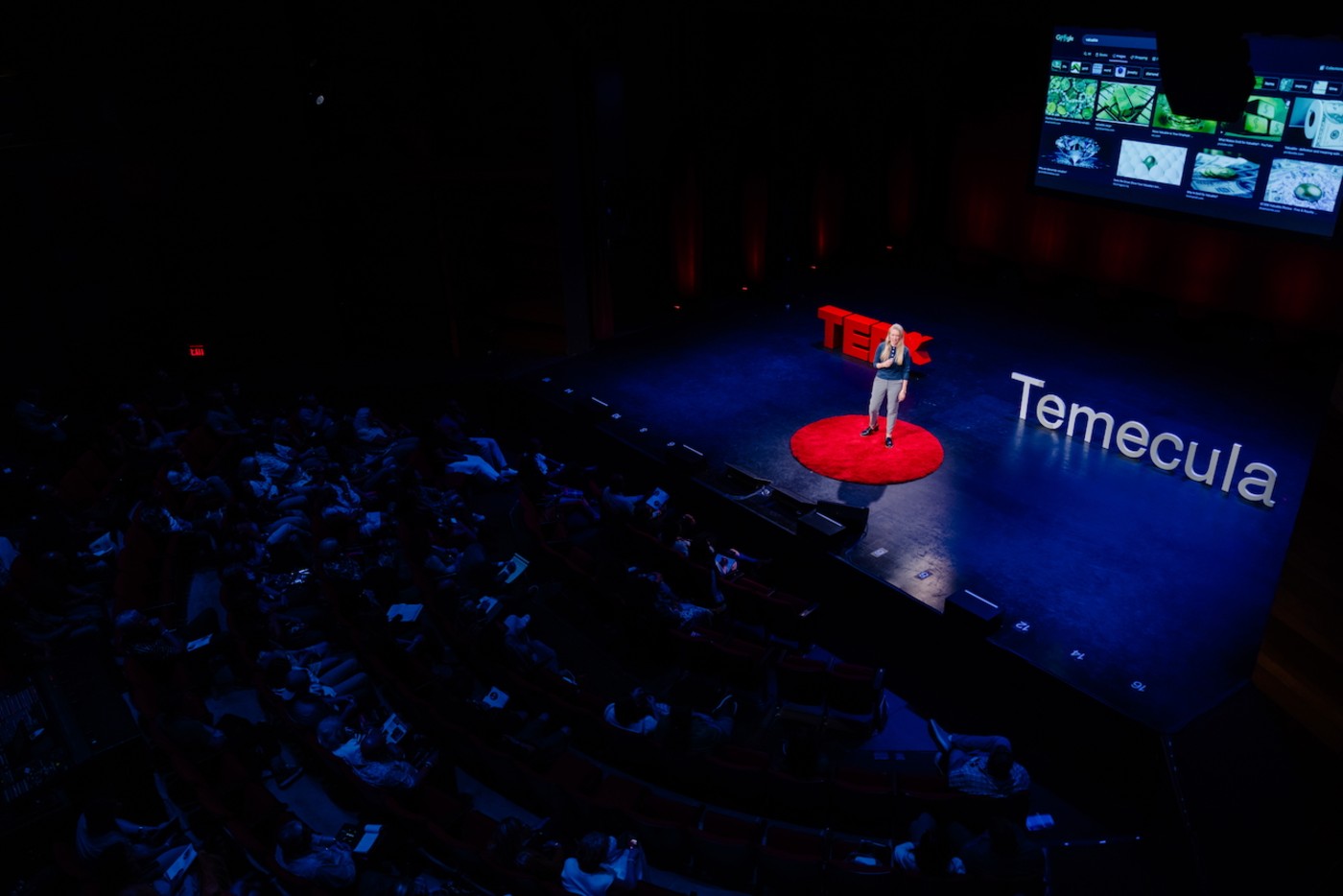 Bridget Hilton speaking on the red circle at TEDx Temecula
